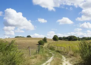 East Germany Nature Reserve Prints: Field path through hilly landscape