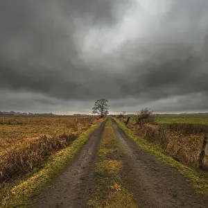 Northern Germany Cloudy Skies Prints: Field path, meadow landscape, cloudy