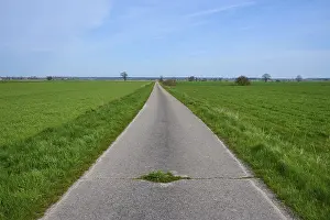 Landscape Photography Germany Prints: Field path, meadow landscape, spring