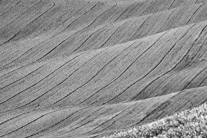 Tuscany Landscape Prints: Field in Tuscany