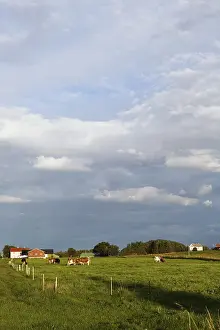 Deserted Farm Prints: Field in Vigra