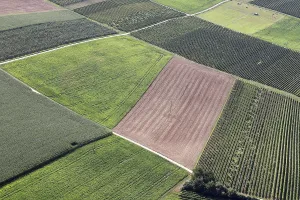 European Countryside Landscape Prints: Fields from a bird's eye view
Fields from a bird's eye view