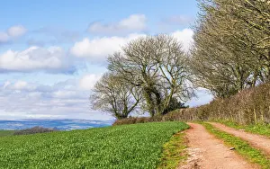 British Countryside Images Prints: Fields and Farmlands over Devon