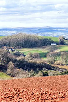Devon Landscape Photography Prints: Fields and Farmlands over Devon