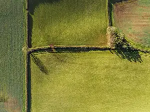 Aerial Photography UK Prints: Top Down over Fields and Farms from a drone