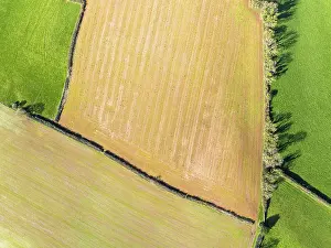 Aerial View Of Devon Prints: Top Down over Fields and Farms from a drone
