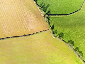 Aerial Photography UK Prints: Top Down over Fields and Farms from a drone