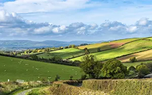 Drone Photography Devon Prints: Fields and Farms from a drone, Devon