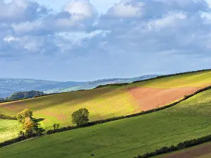 British Countryside Landscape Photo Prints: Fields and Farms from a drone, Devon