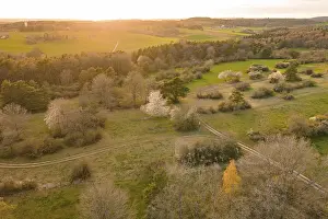 Calw District Landscape Photo Prints: Fields and forests stretch out in a warm evening light