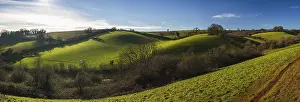 British Countryside Prints: Fields and Meadows of Conqueror Wood