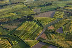 Evening Light In Germany Prints: Fields and meadows in evening light