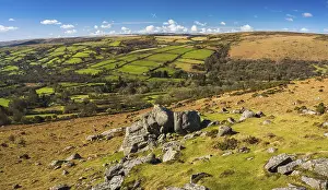British Countryside Prints: Fields and meadows in Haytor Rocks