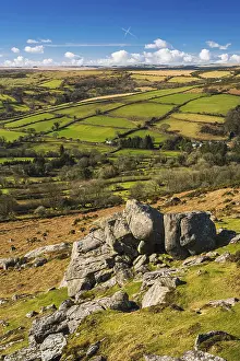 British Countryside Prints: Fields and meadows in Haytor Rocks