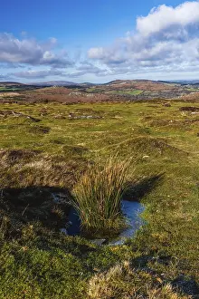 Haytor Rocks Prints: Fields and meadows in Haytor Rocks