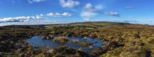 British National Parks Prints: Fields and meadows in Haytor Rocks