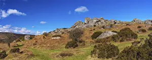 Haytor Rocks Prints: Fields and meadows in Haytor Rocks