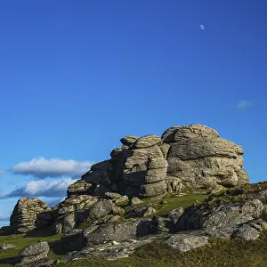 British National Parks Prints: Fields and meadows in Haytor Rocks