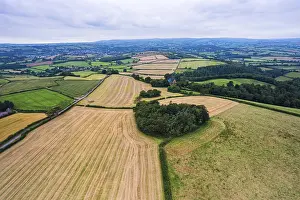 Northern Europe Farming Prints: Fields and Meadows over Torbay