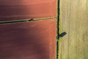Uninhabited Agricultural Land Prints: Fields and Meadows over Torbay