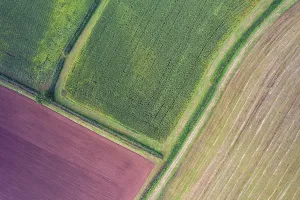 Unmanned Aerial Vehicle UVA Prints: Fields and Meadows over Torbay from a drone