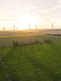 Eco Friendly Electricity Supply Prints: Fields with wind turbines in the soft evening sun