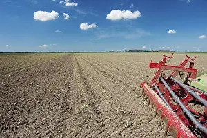 Benelux Countryside Scenery Prints: Fields with young vegetable fields and detail of planting machine