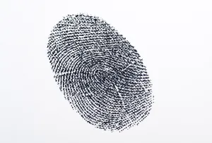 Studio Shot Image Prints: Fingerprint