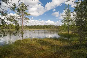 European Country Landscapes Prints: Finland, bow, countries, detail