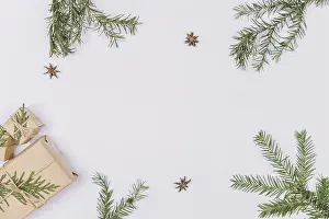 Christmas Gift Presentation Prints: Fir tree branches presents forming frame