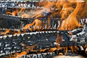 Deserted Fireplace Prints: Fire in a fireplace