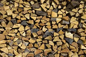 Renewable Energy Prints: Firewood