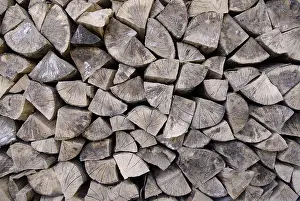 Renewable Energy Prints: Firewood