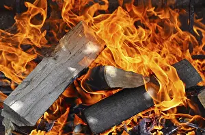 Grilled Food Prints: Firewood fire