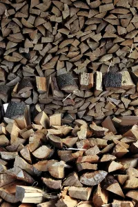 Green Energy Technology Prints: Firewood, logs, split