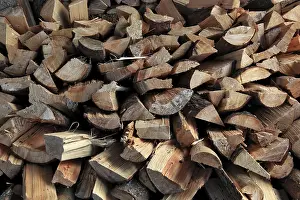 Natural Resource Wood Prints: Firewood, logs, split