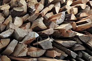 Green Energy Technology Prints: Firewood, logs, split
