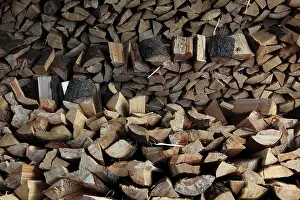 Green Energy Technology Prints: Firewood, logs, split