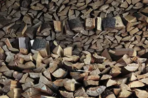 Green Energy Technology Prints: Firewood, split logs
