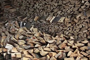 Green Energy Alternative Prints: Firewood, split logs