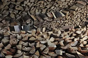 Deserted Wooden Structure Prints: Firewood, split logs