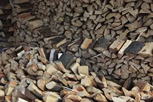 Split Logs Prints: Firewood, split logs