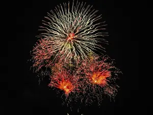 New Year's Eve Fireworks Prints: Fireworks in front of black background