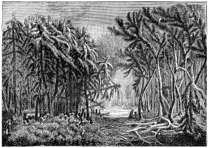 European Landscape Art Prints: The first forests. Devonian period