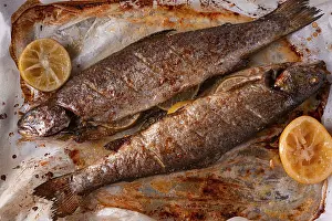 Home Kitchen Cooking Prints: Two fish are being cooked on a baking sheet in a home kitchen