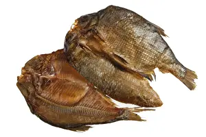 Studio Shot Of A Fish Prints: Fish on an isolated studio background