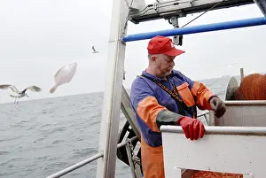 Wildlife Photographer Prints: Fisherman at work