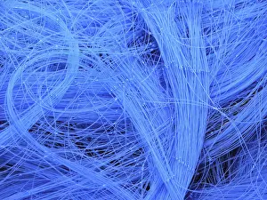 Baltic Sea Fishing Prints: Fishing net
