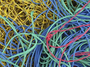 Baltic Sea Fishing Prints: Fishing net
