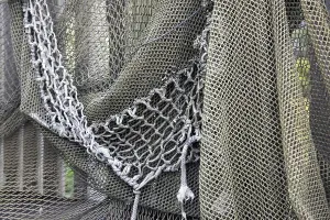 Uninhabited Coastal Scene Prints: Fishing nets drying on the fence